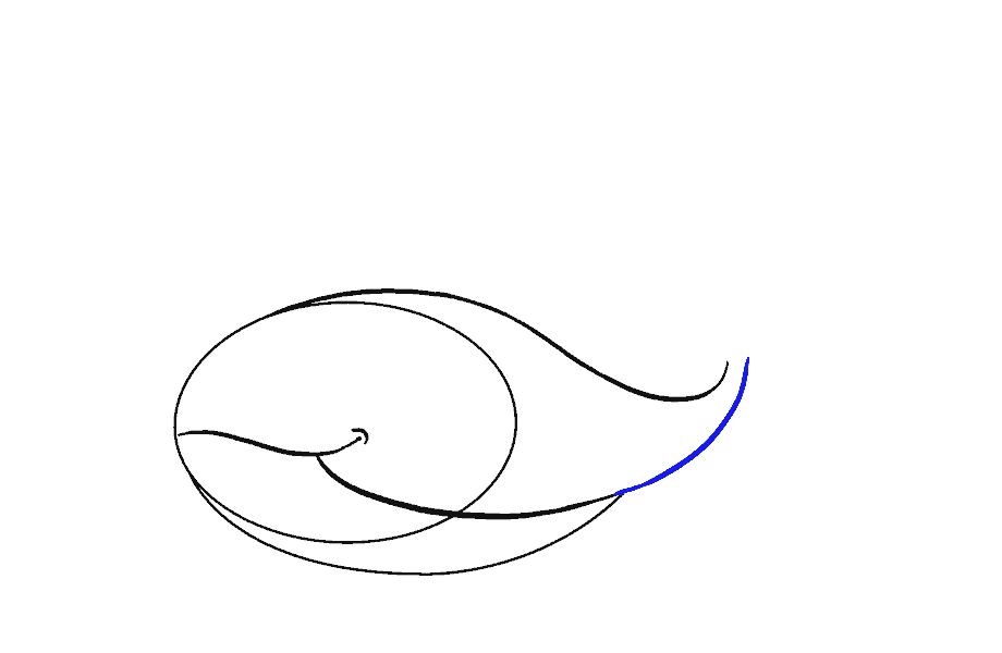 如何绘制鲸鱼：第7步