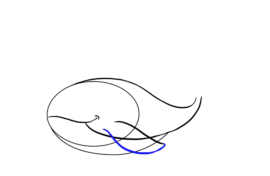 如何绘制鲸鱼：第9步