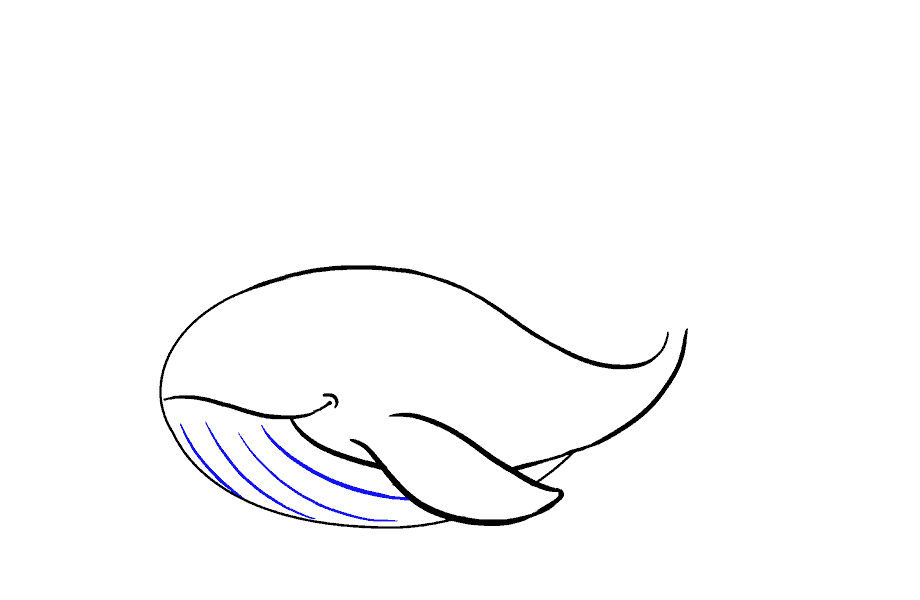 如何绘制鲸鱼：第11步