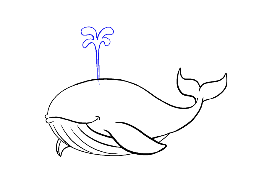 如何绘制鲸鱼：第16步
