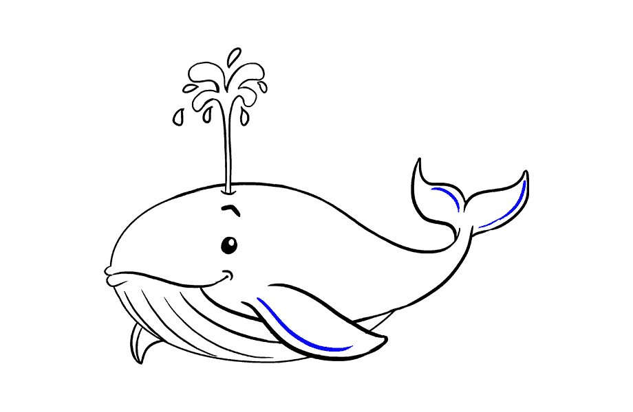 如何绘制鲸鱼：第19步