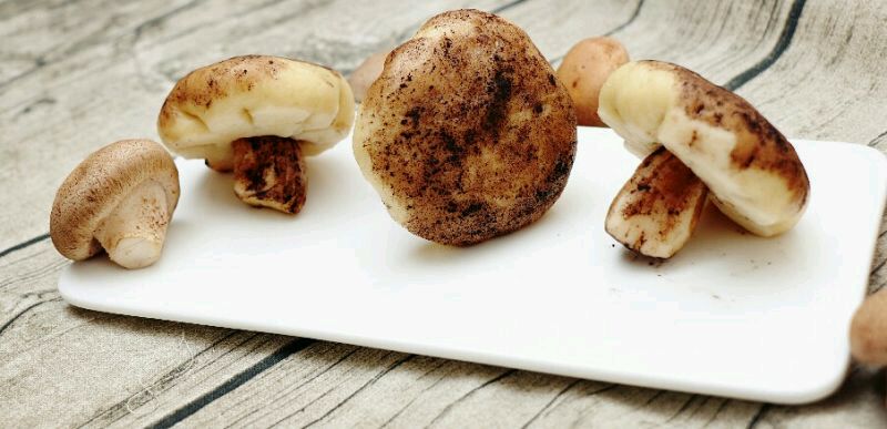 香菇包#我要上首页清爽家常菜#的做法图解12