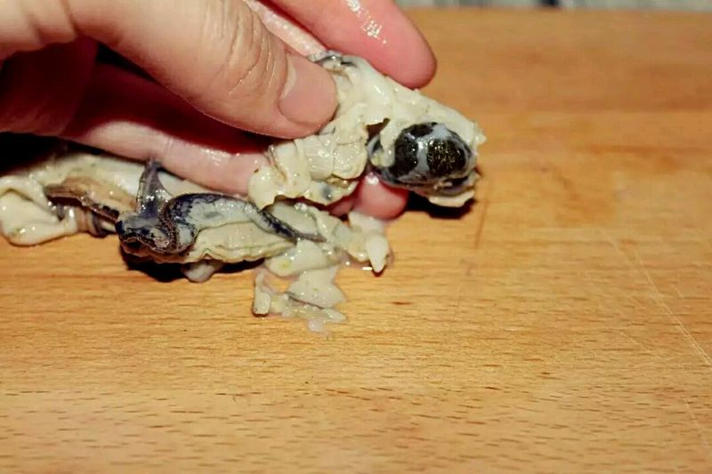 胜过万千补药，宝宝补锌食谱首选，必须是它！！牡蛎香葱煎蛋的做法图解6