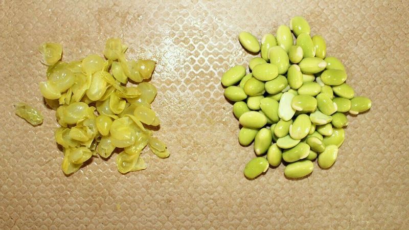 玉米毛豆南瓜羹，宝宝便秘的时候，就给喝这个！的做法图解5