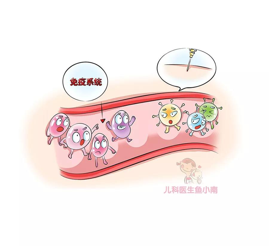 春雨医生 春雨医生