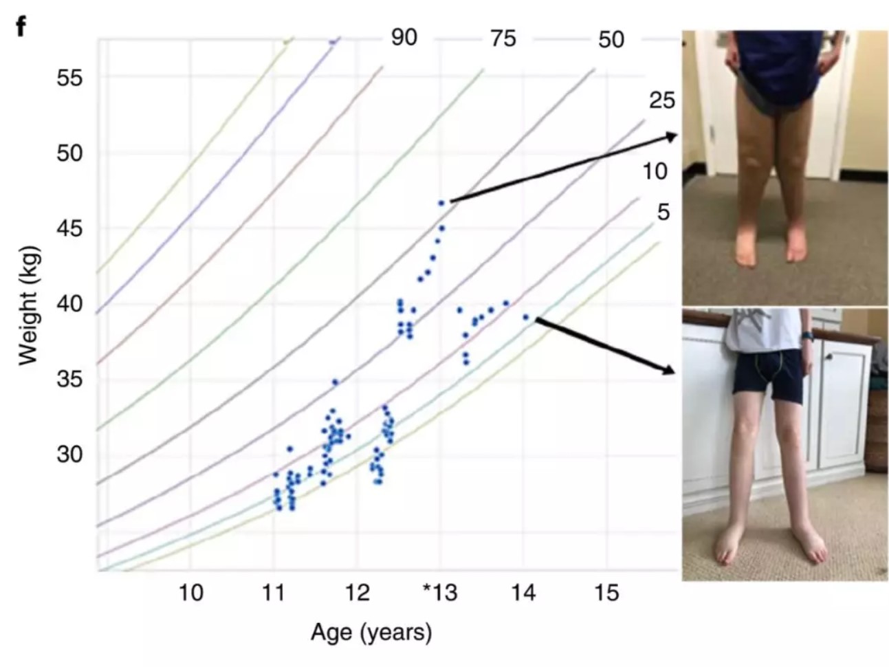 春雨医生 春雨医生