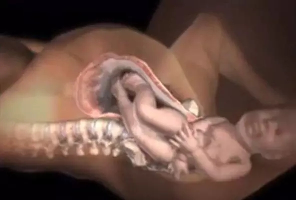 ��i�����Z�����l��چ��