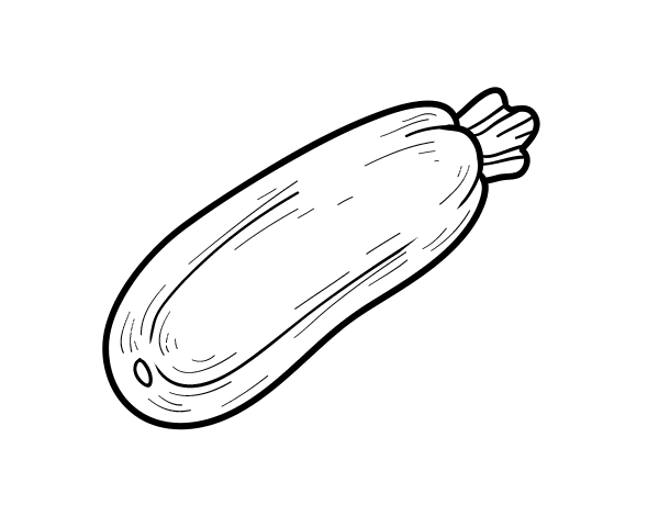 西葫芦填色图片