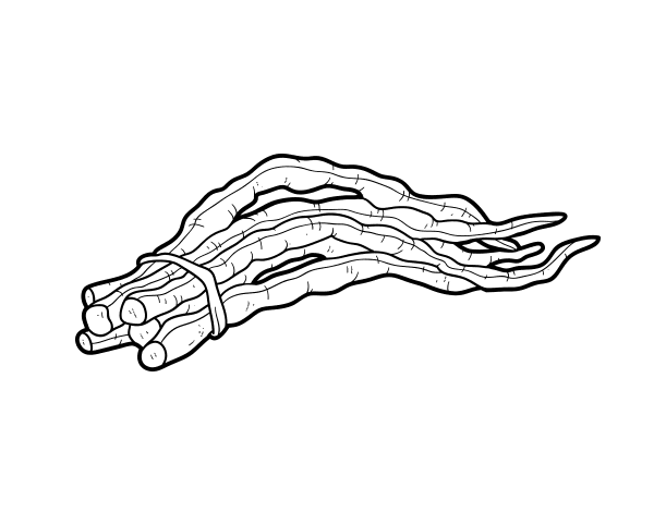 日本豆子填色图片