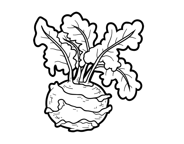 大头菜填色图片