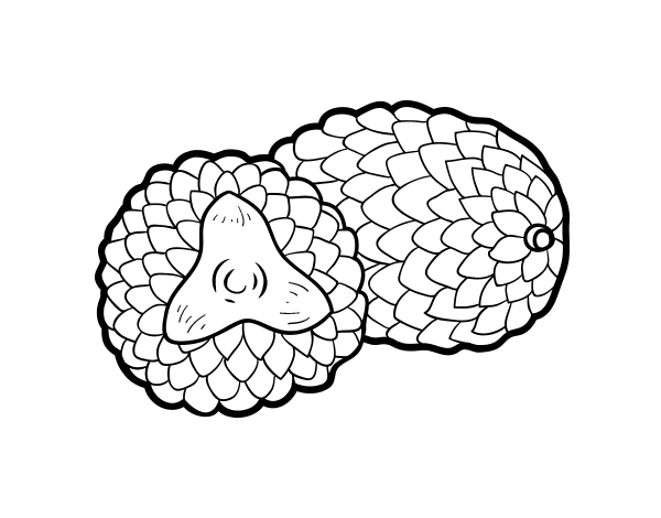 莫里奇棕榈简笔画图片