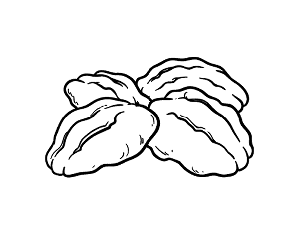 坚果简笔画图片