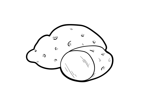 有机马铃薯填色图片