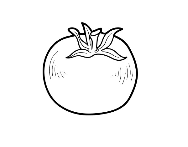 有机番茄简笔画图片