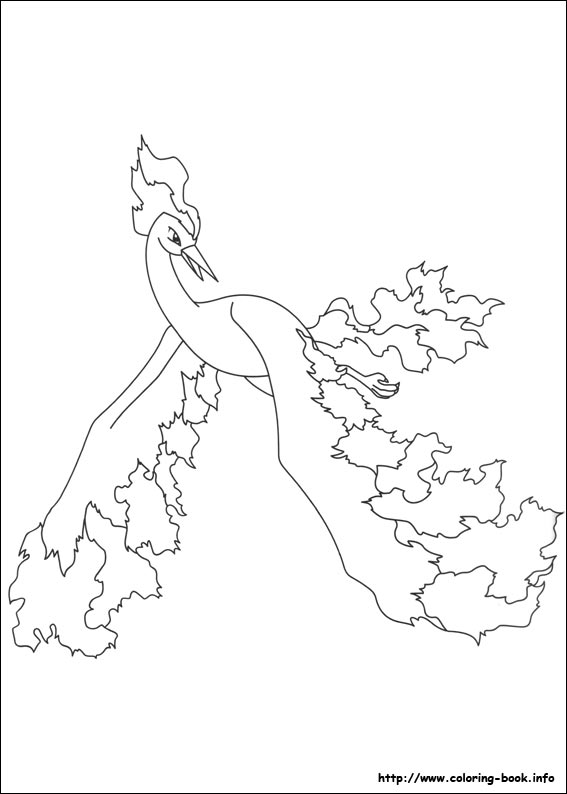 宠物小精灵中的角色