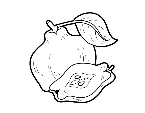 柚子简笔画图片