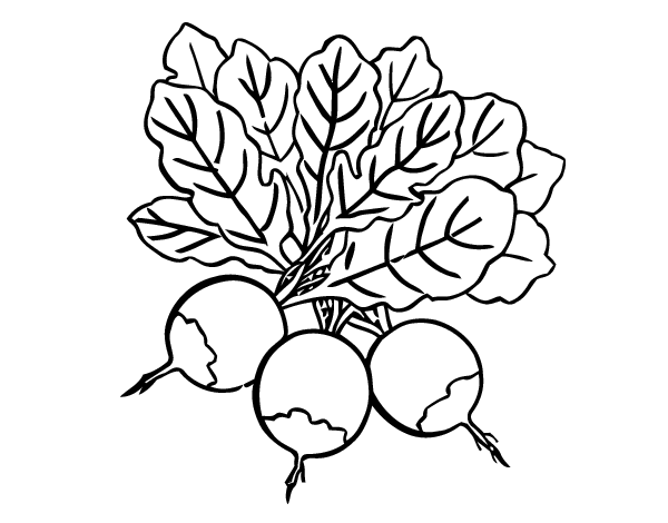 三甜菜填色图片