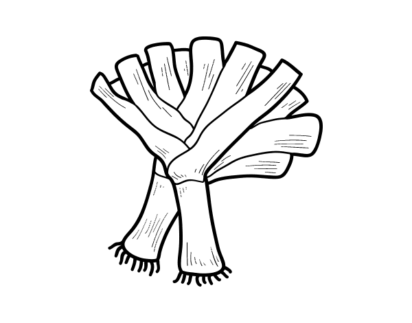 双韭菜填色图片