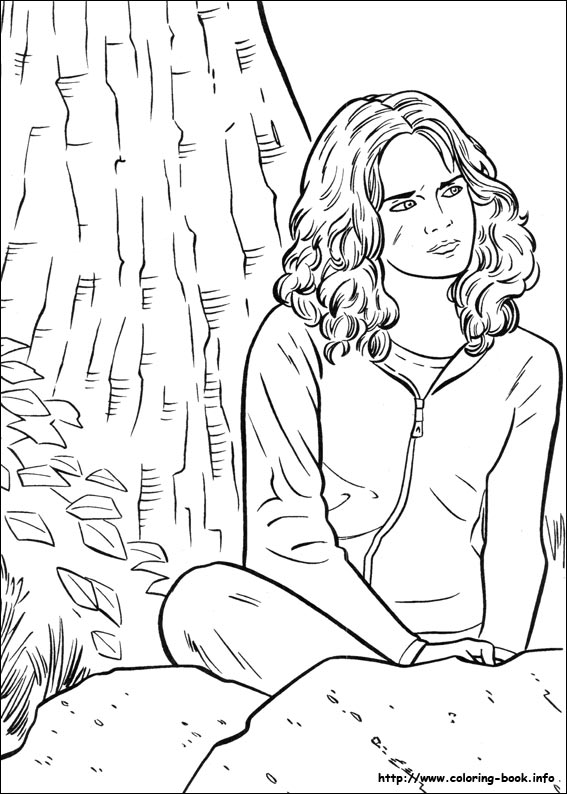 哈利波特动漫图片