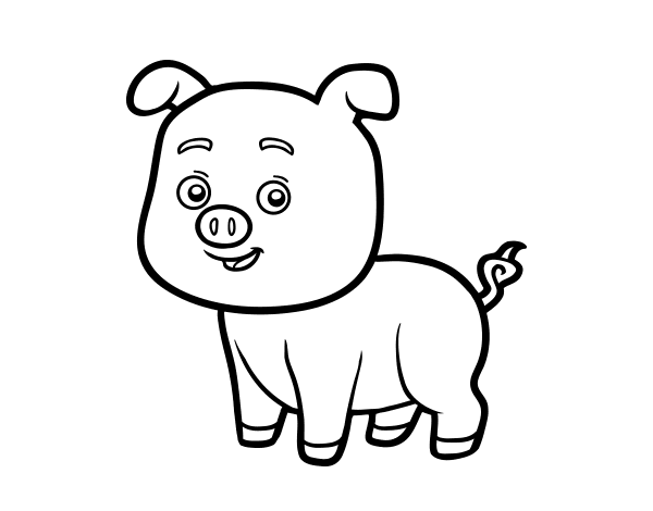 小猪简笔画