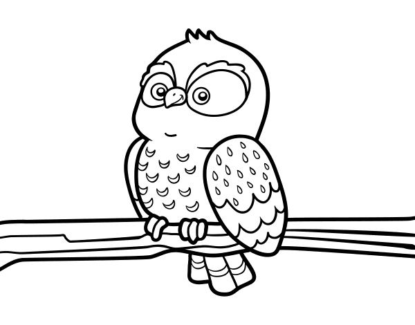 猫头鹰在树枝上涂色