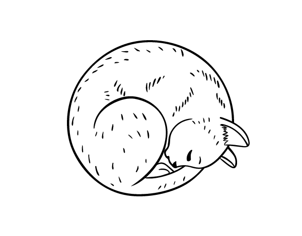 摆姿势的猫涂色画