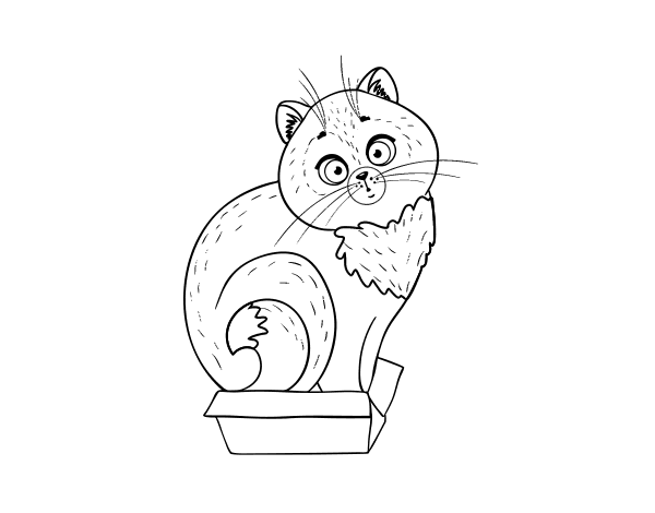 盒子里的小猫简笔画