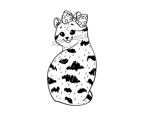 得意小猫简笔画