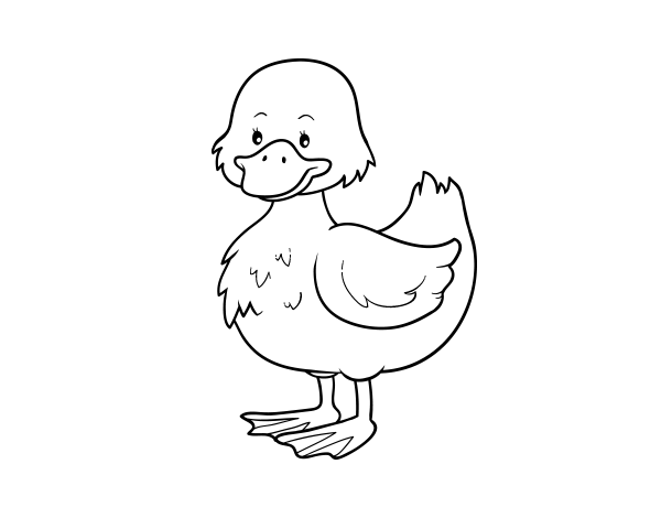 鸭子涂色画