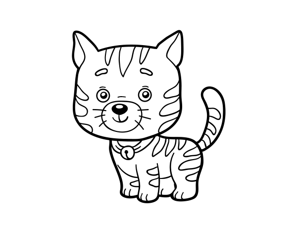 家猫简笔画