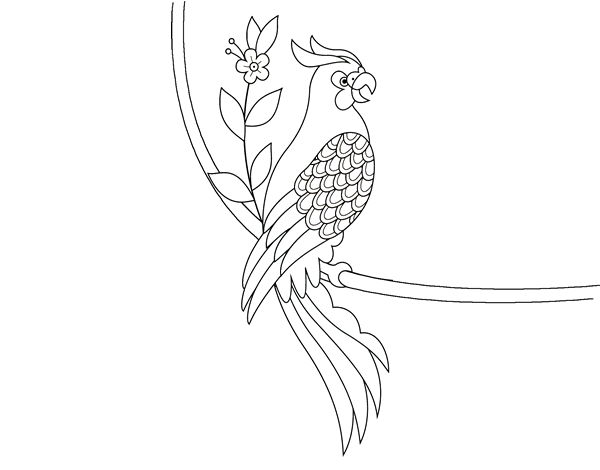鹦鹉纹身线稿图片