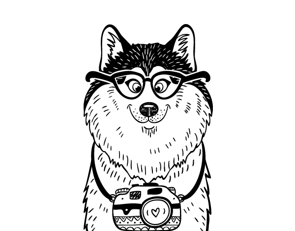 摄影师小狗涂色画