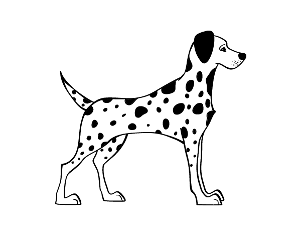 斑点狗的简笔画