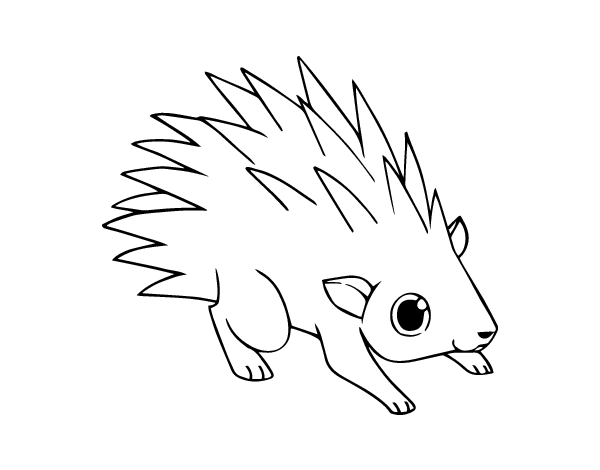 刺猬简笔画