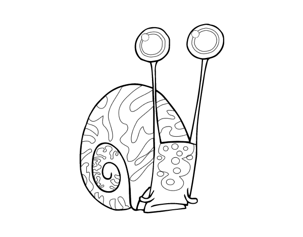 普通蜗牛线稿图片