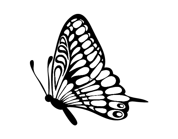左侧蝴蝶的简笔画