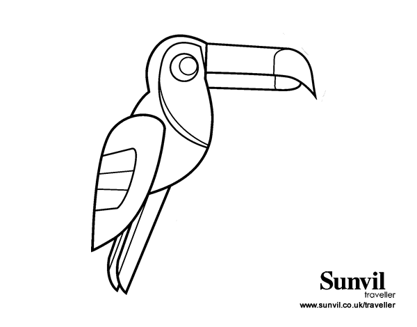 巨嘴鸟线稿图片