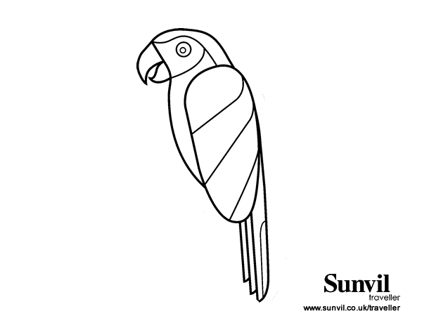 金刚鹦鹉线稿图片