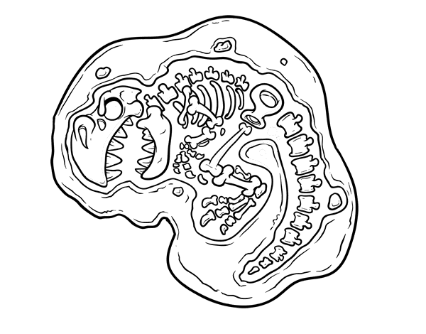 恐龙化石线稿图片