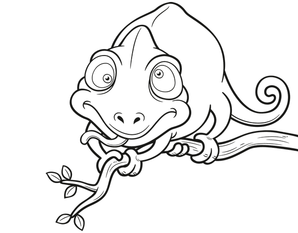 变色龙在树枝的简笔画