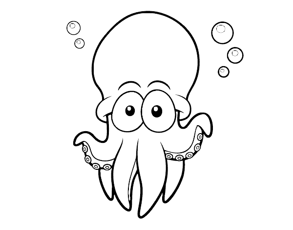 大西洋白斑章鱼线稿图片