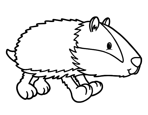 獾行走线稿图片