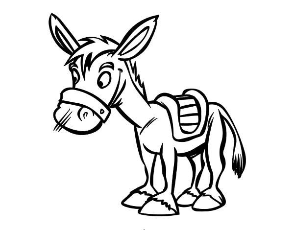 农场驴子的简笔画