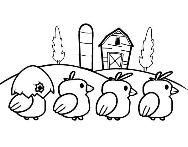 小鸡的简笔画