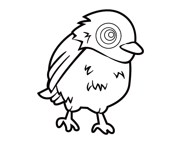 真麻雀线稿图片