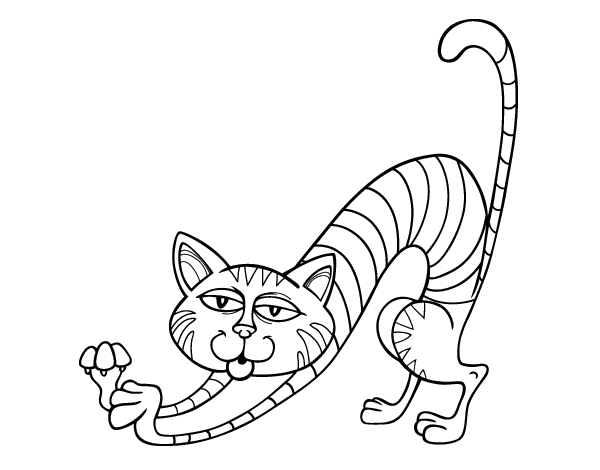 伸懒腰的猫的简笔画