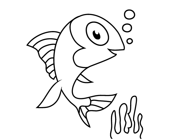 海鱼简笔画