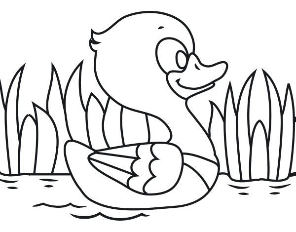 河鸭简笔画