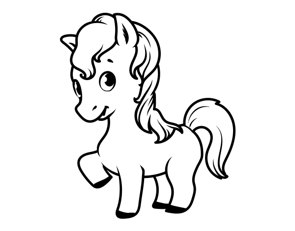 小马驹简笔画