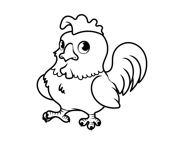 小公鸡简笔画